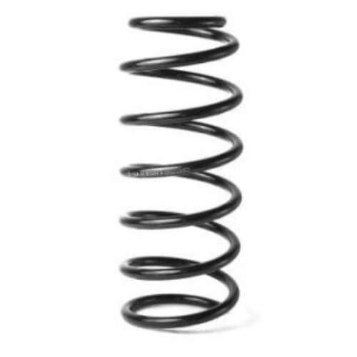 Oprugu (zadnja) Seat Leon 99-09